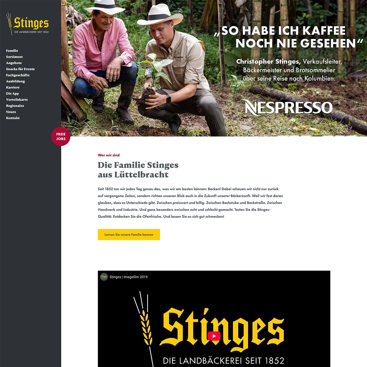 Screenshot Website Stinges